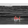 Cámara Termográfica FLIR Ocean Scout 240