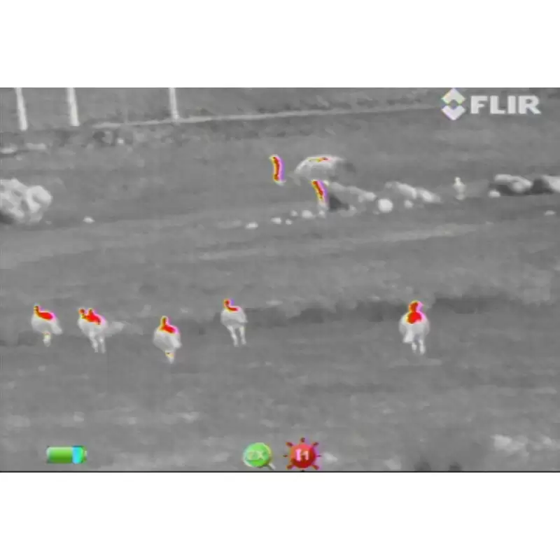 Cámara Termográfica FLIR LS-XR