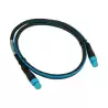 Cable troncal SeaTalk NG 1m Raymarine